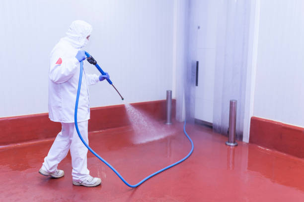 Best Patio and Deck Pressure Washing  in Mount Clemens, MI